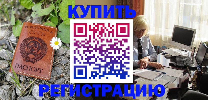 временная регистрация поиск в Щиграх